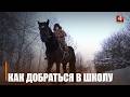 А слабо на лошади в школу приехать? Да нет, не слабо, я бы приехал, да директор не пускает и привязать негде. Единственный школьник из деревни Васильполье не может попасть на занятия из-за снегопада