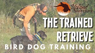 Train Your Dog to Retrieve | Bird Dog Training Near Me