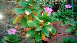 Download lagu Status Wa Sedih || Tabir Kepalsuan || Rhoma Irama mp3