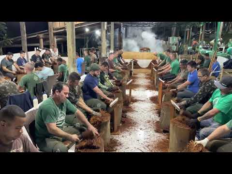 "Vamos deixar de fraqueza" - Maria Damião, 11 | Feitio Daime | Céu da Nova Vida - Daime