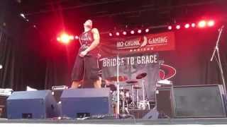 Bridge To Grace: The Fold