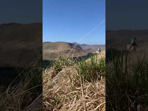 Forestry worker planting trees Scottish Mountain View Isle of Mull Scotland 