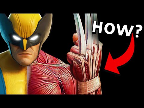 How Do Wolverine's Claws Work?