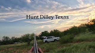 Dilley Dove '25