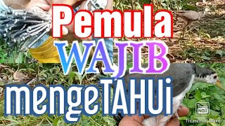 Download lagu Cara Lengkap menjerat RuakRuak menggunakan Racik gantung|cara pasang n Bongkar Racik serta ukurannya mp3 Download lagu Cara Lengkap menjerat RuakRuak menggunakan Racik gantung|cara pasang n Bongkar Racik serta ukurannya mp3