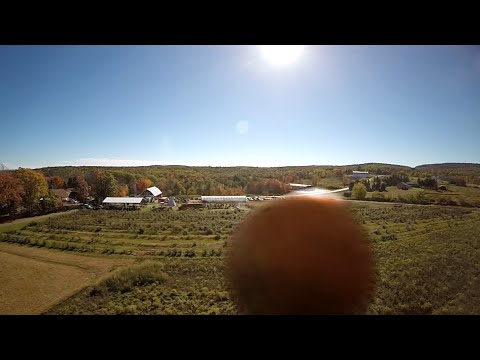How Not To Avoid A Flying Pumpkin