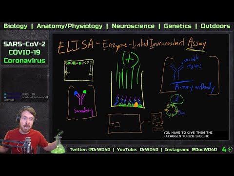 Coronavirus (SARS-Cov-2) - How a High-Throughput ELISA Antibody Test Could be Used for Testing