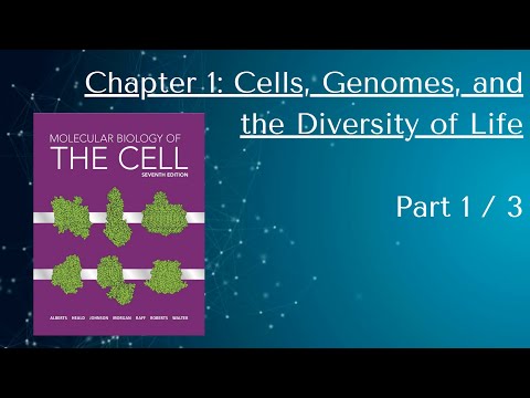 7th Edition Molecular Biology of the Cell   Chp 1, part 1 of 3