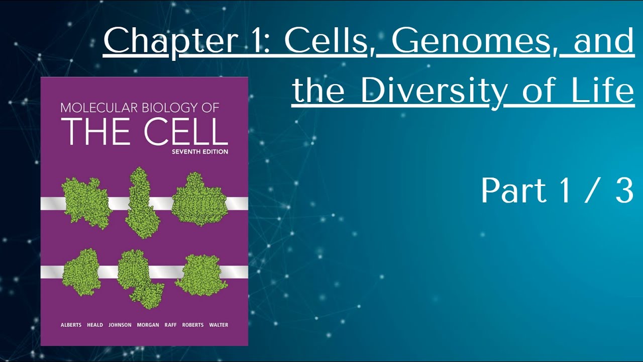 7th Edition Molecular Biology of the Cell   Chp 1, part 1 of 3