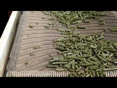 Grass feed pellet machine for cattle or sheep with lubricati...