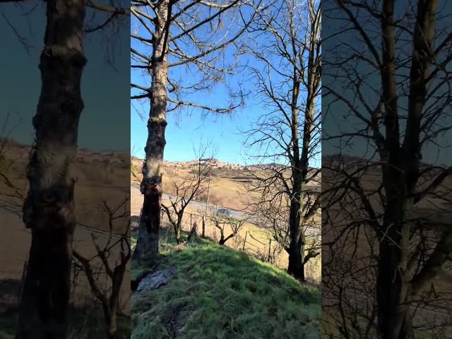 esterno - strada serra