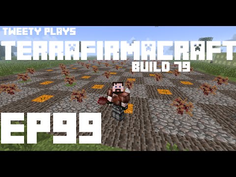 Tweety plays Terrafirmacraft ep 99 - The Barn Again