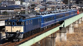 ELぐんまよこかわ EF64 1001牽引  安中鉄橋通過