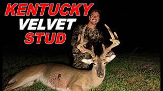 Bow Hunting BIG Kentucky VELVET BUCK on SMALL ACREAGE!