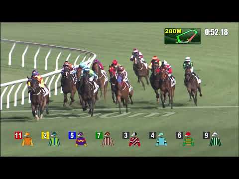 16/2/2022 (427) So Awesome - Matthew Chadwick