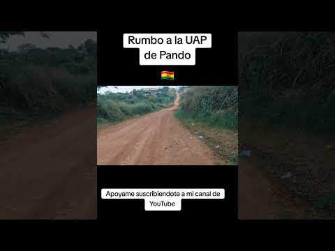 Camino a la Universidad Amazonica de Pando#cobija#viajes #Bolivia #conocebolivia🇧🇴
