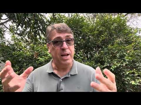 Prévia do vídeo GEOFILMES PRODUCOES AUDIOVISUAIS LTDA