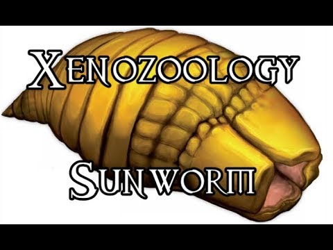 Xenozoology: Sunworm - 40K Theories