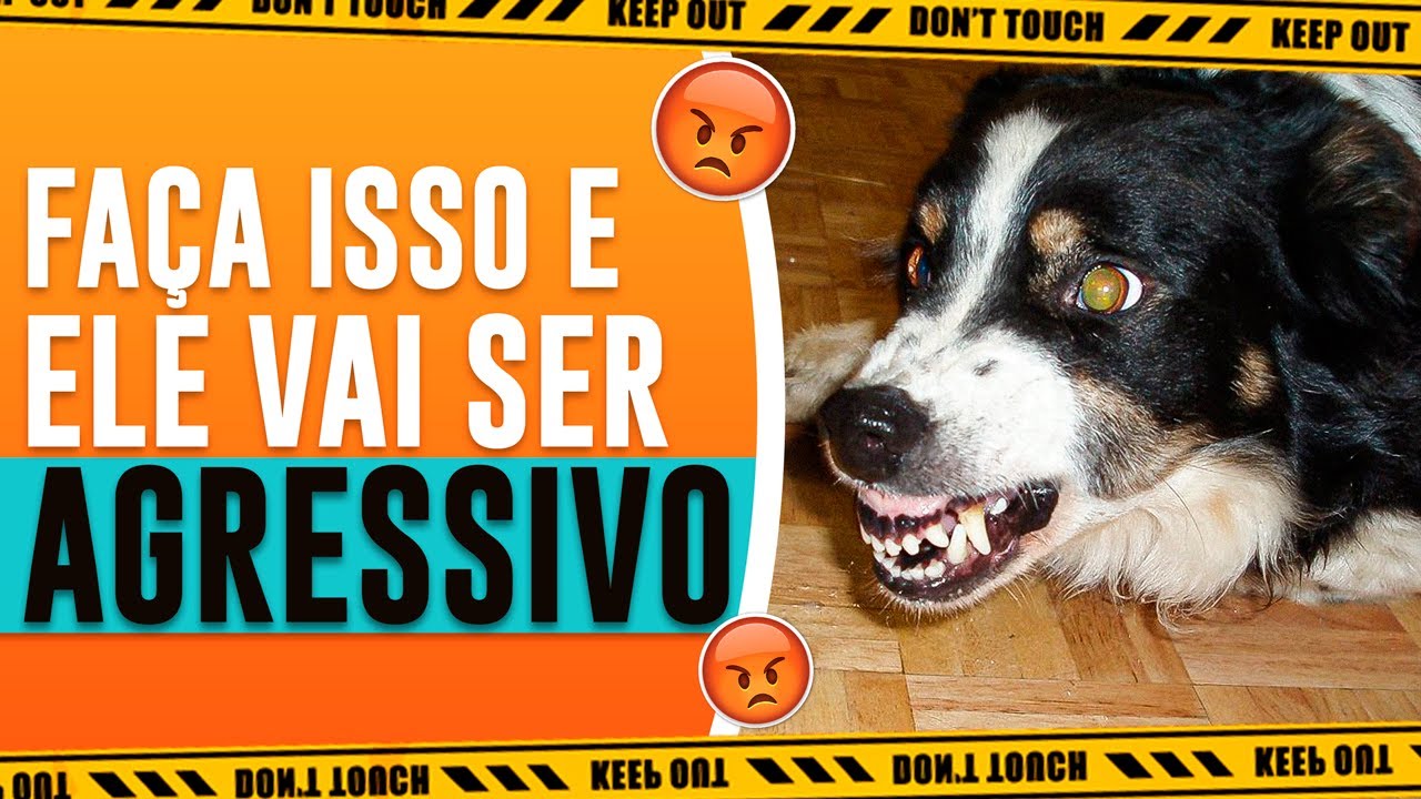 ISSO PODE DEIXAR O SEU CACHORRO NERVOSO E AGRESSIVO, CUIDADO!
