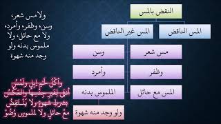 صورة 20  شرح ملح الناد للشيخ عامر بهجت - نواقض الوضوء