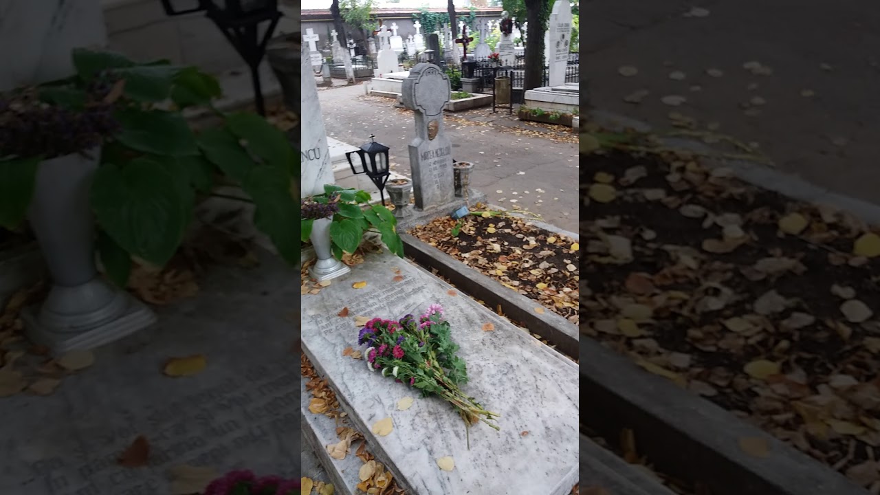 Comemorarea Tovarasului Zaharia Stancu