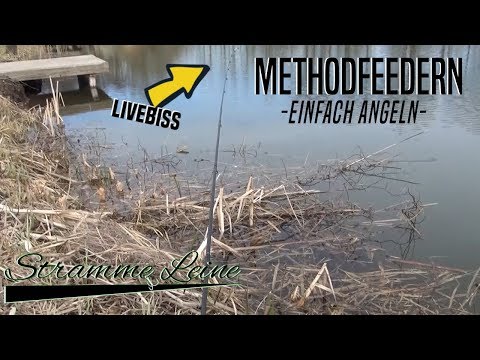 METHODFEEDERN - Einfach ANGELN/ Mit dem METHOD FEEDER auf FRIEDFISCH