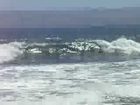 glenny surfing (the island)