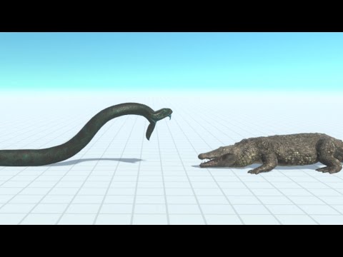 RAINBOW TITANOBOA vs EVERY UNIT - Animal Revolt Battle Simulator