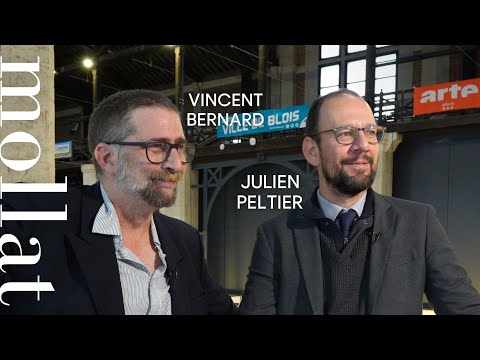 Vincent Bernard et Julien Peltier - Histoire de la guerre en infographie