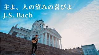 Download lagu 【J.S.Bach】主よ、人の望みの喜びよ/Jesu, Joy of Man’s Desiring | Fingerstyle Guitar at Helsinki Cathedral 🇫🇮 mp3