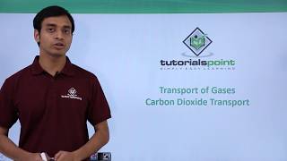 Class 11th – Transport of Gases - Carbon dioxide | Breathing and Exchange of Gases | Tutorials Point