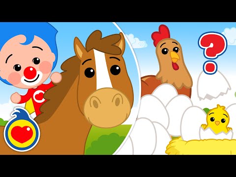 Como Os Animaizinhos -  E Mais Canções de Animais da Fazenda 🎵 Um Herói Do Coração