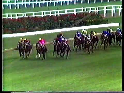 1983 Golden Slipper
