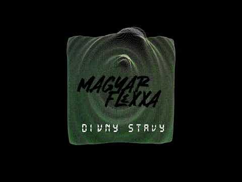 Magyar Flexxa - Divný Stavy (Audio Animation)