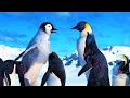 Happy Feet Driving Gloria Away Eu Portuguese