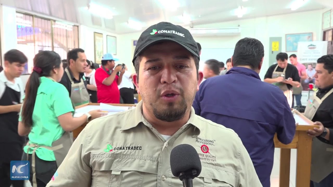 Nicaragua impulsa su café premium y conquista nuevos mercados globales con el Marago