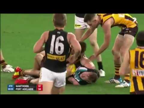 Hawthorn vs Port Adelaide 2014 Preliminary Final Last 2 Minutes | AFLtube