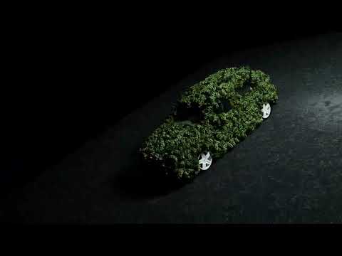 YOUNG AJ - Plakkas in Main (Official Visualizer)