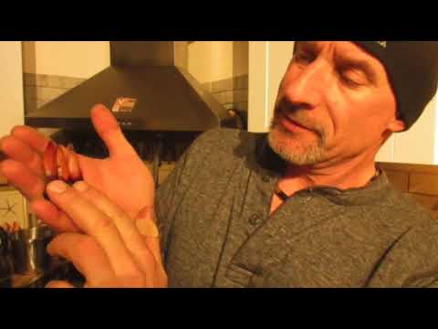 How to germinate monkey puzzle tree seeds