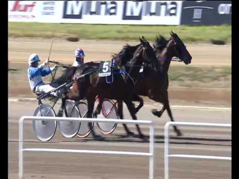 Trotto 30/04/2017 - 5ª corsa