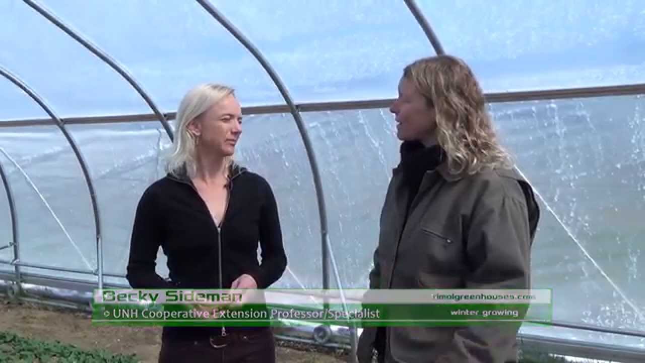 Greenhouse Winter Growing - Rimol Greenhouse Systems