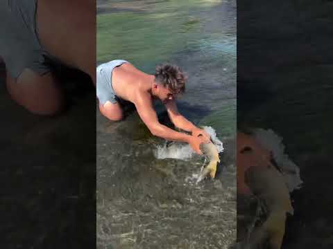 Reel tagged #fish