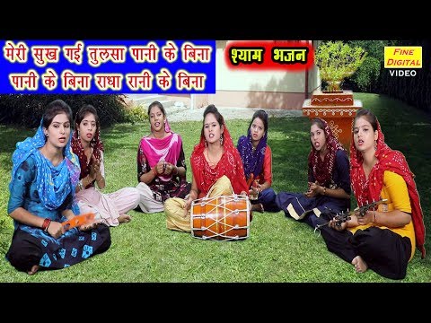 मेरी सूख गई तुलसा पानी के बिना राधा रानी के बिना लिरिक्स