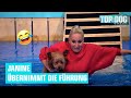 Janine Kunze Mit Krümel Im Parcours Top Dog Germany Promi Special 2022