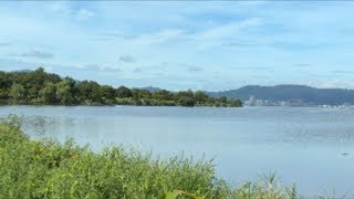 琵琶湖バス釣りライブR8-8/18