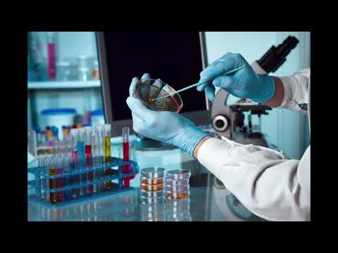 El dret a la salut és un dret fonamental