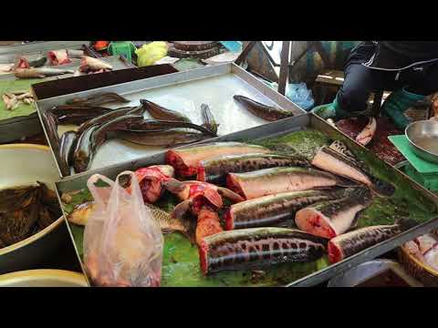 Cambodia Market Tour in 2021, very fresh food in morning at Century Plaza Market