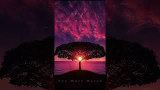 Top 5 Hindi Romantic web series Available free on YouTube, MX Player, TVF, SonyLiv app  #vitv #VITV