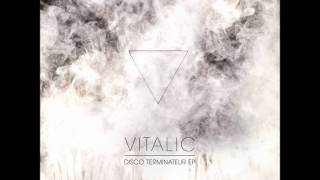 Vitalic - Terminateur Benelux (John Lord Fonda Remix)