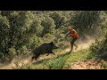 Hunting Wild Boar Season 2026 KEMISSET GHERIWA PART 4